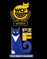 Logo 1.  M R U C Z O D U S Z K A *P L  persian & exotic cattery